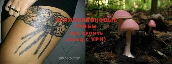 метадон Осташков