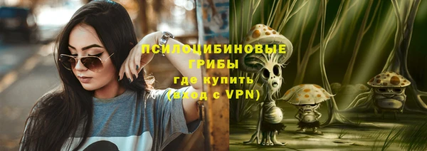 метадон Осташков